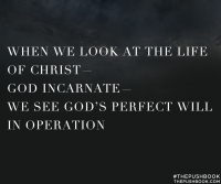 When we look at the life of Christ - God incarnate - we see God's perfect will in operation.